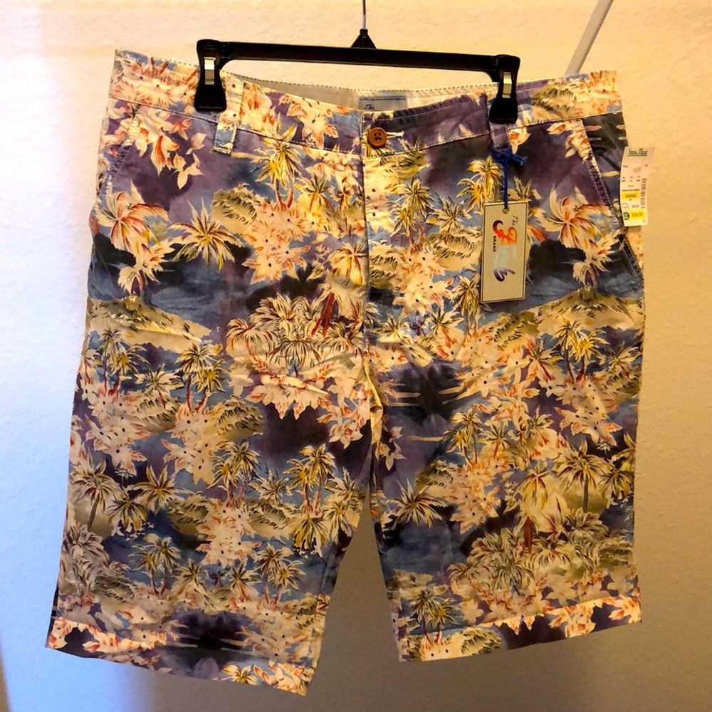 Never worn! Tags on! Mens shorts